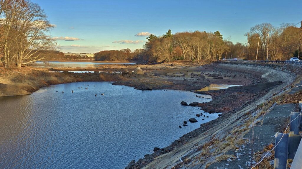 body of water, low with muddy shore, trees 