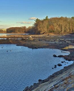 body of water, low with muddy shore, trees