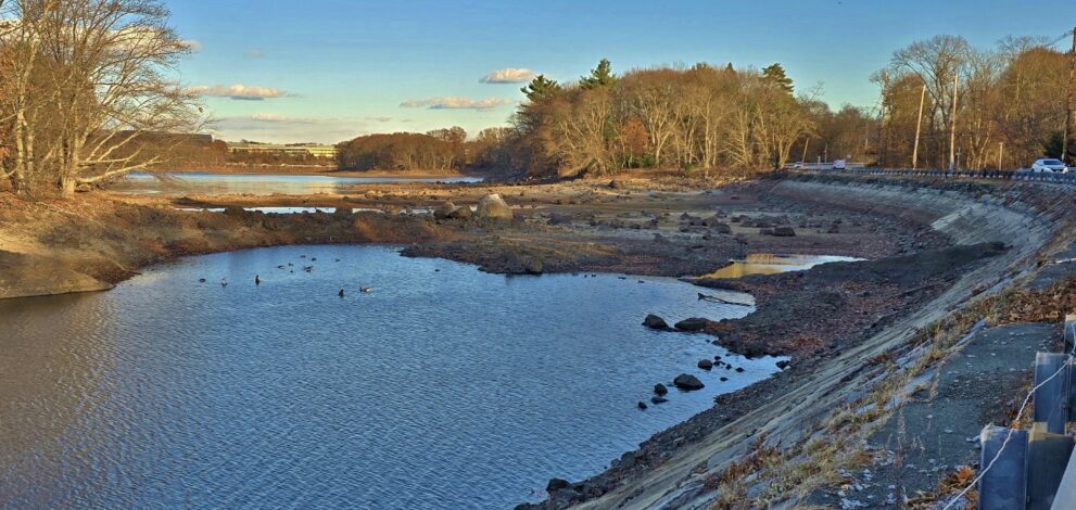 body of water, low with muddy shore, trees