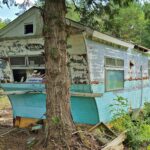 abandoned house trailer and tree