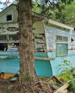 abandoned house trailer and tree