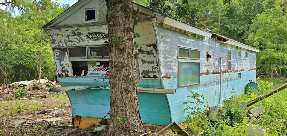 abandoned house trailer and tree