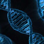 a dna strand