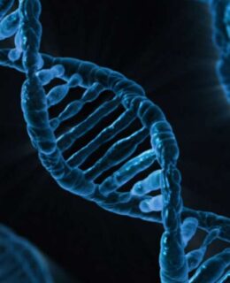 a dna strand