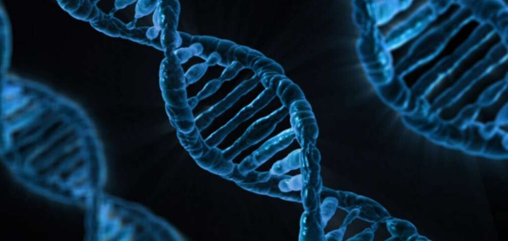 a dna strand