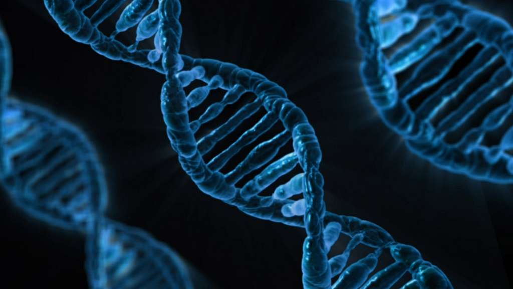 a dna strand