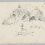 sketch of a dog and lion