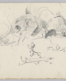 sketch of a dog and lion