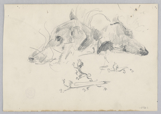 sketch of a dog and lion